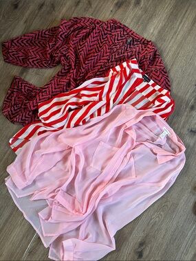 Zenobia Pink Sheer Button-Up Blouse